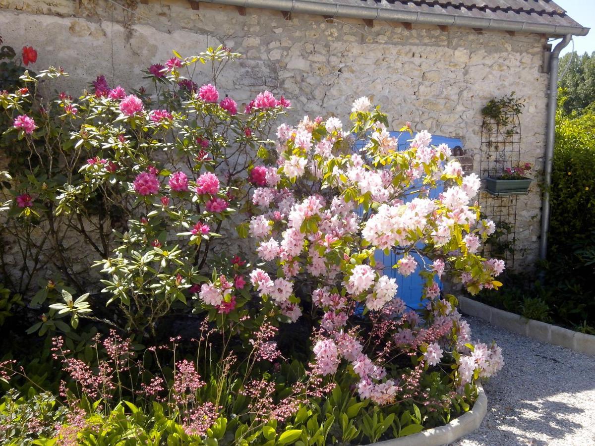 Les Hirondelles Bed & Breakfast Onzain Exterior photo