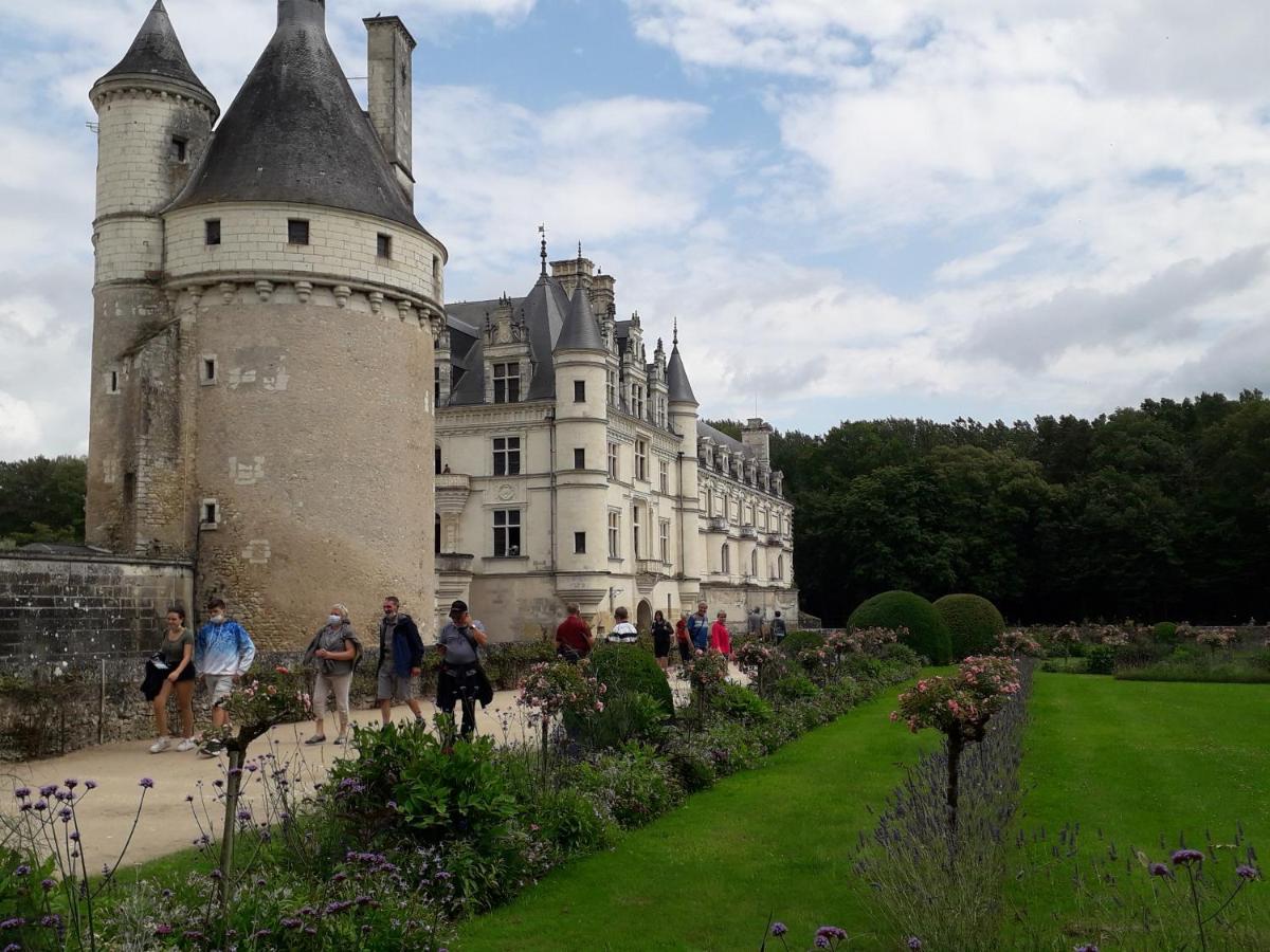Les Hirondelles Bed & Breakfast Onzain Exterior photo